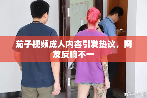 茄子视频成人内容引发热议，网友反响不一