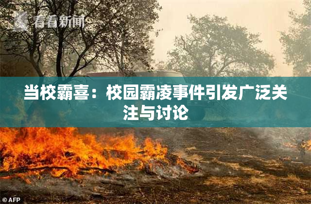 当校霸喜：校园霸凌事件引发广泛关注与讨论