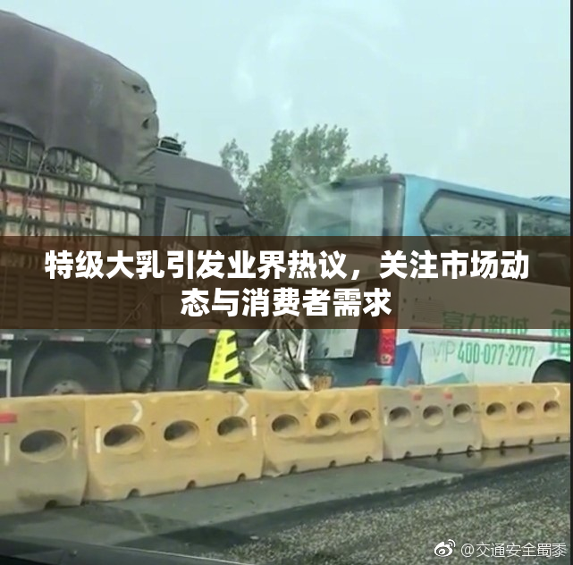 特级大乳引发业界热议，关注市场动态与消费者需求
