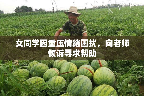 女同学因重压情绪困扰，向老师倾诉寻求帮助