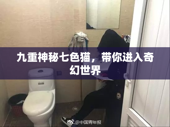 九重神秘七色猫，带你进入奇幻世界