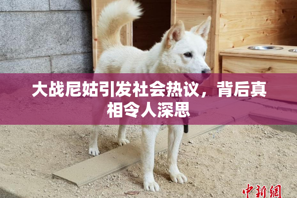 大战尼姑引发社会热议，背后真相令人深思