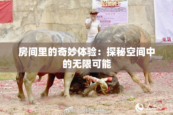 房间里的奇妙体验：探秘空间中的无限可能