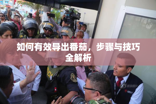 如何有效导出番茄，步骤与技巧全解析