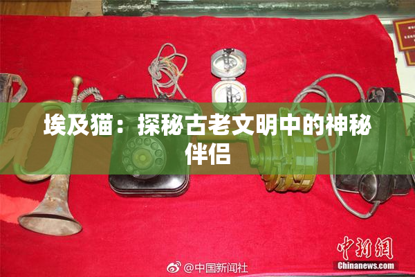 埃及猫：探秘古老文明中的神秘伴侣