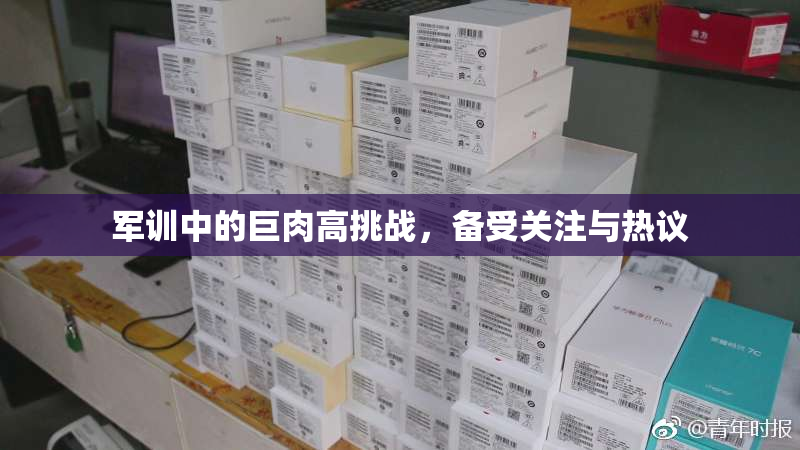 军训中的巨肉高挑战，备受关注与热议