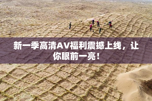 新一季高清AV福利震撼上线，让你眼前一亮！
