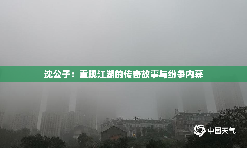 沈公子：重现江湖的传奇故事与纷争内幕
