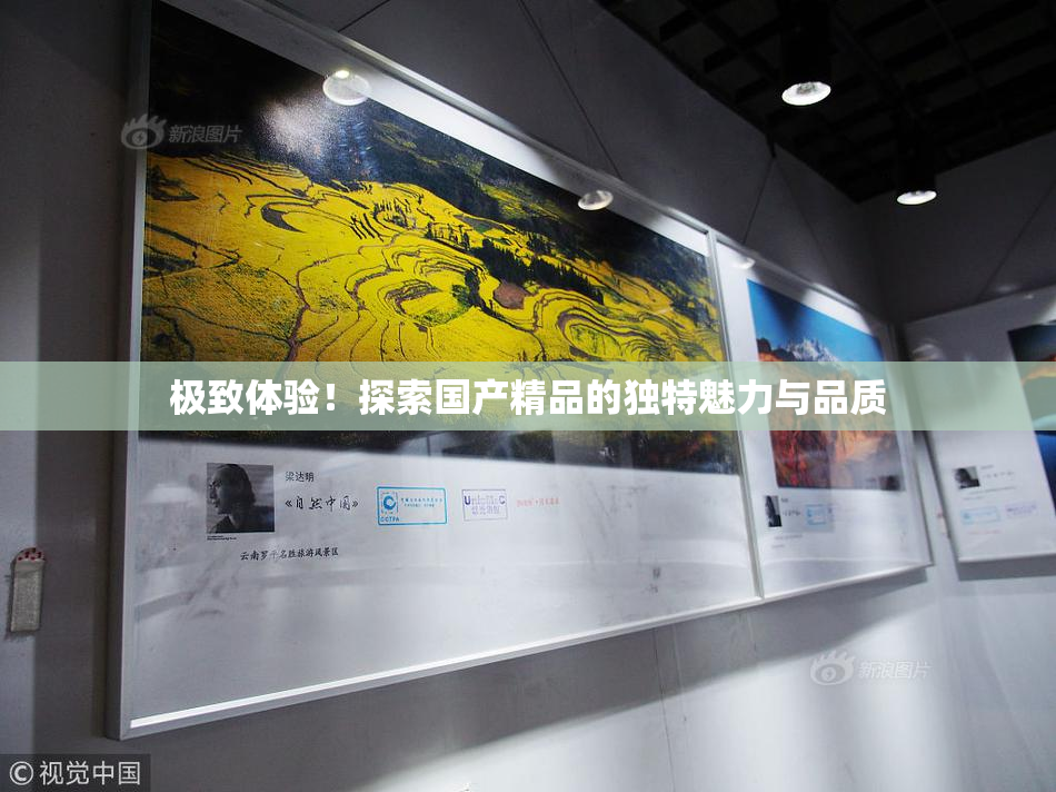 极致体验！探索国产精品的独特魅力与品质