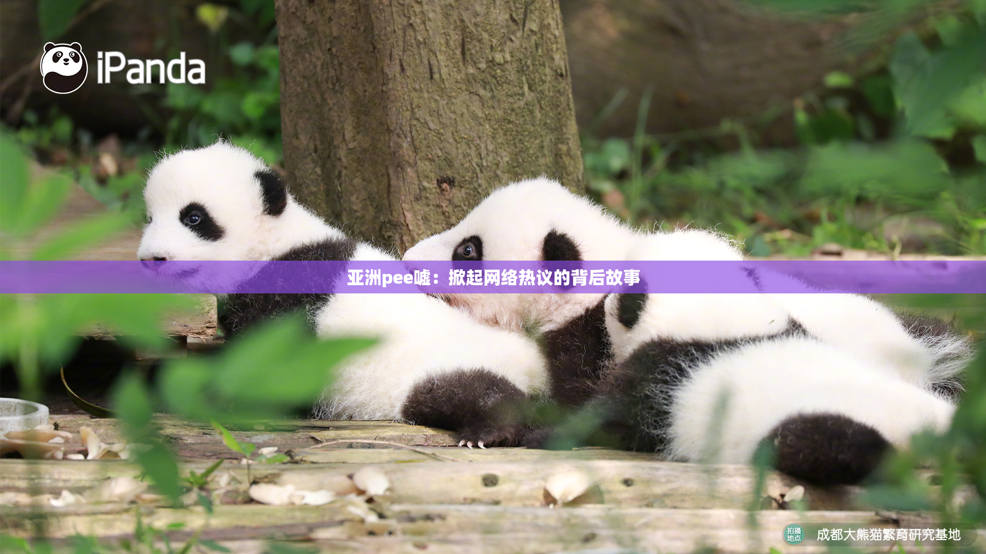 亚洲pee嘘：掀起网络热议的背后故事