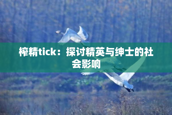 榨精tick：探讨精英与绅士的社会影响
