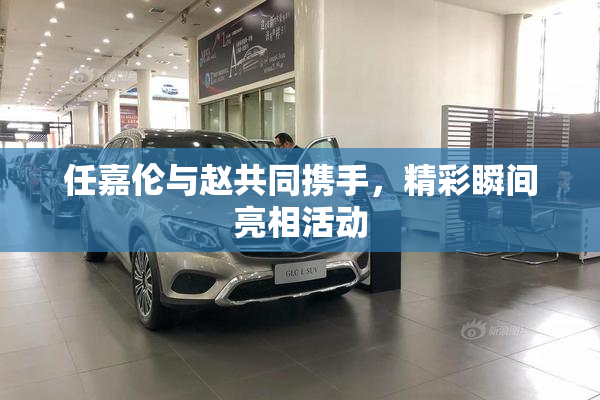 任嘉伦与赵共同携手，精彩瞬间亮相活动
