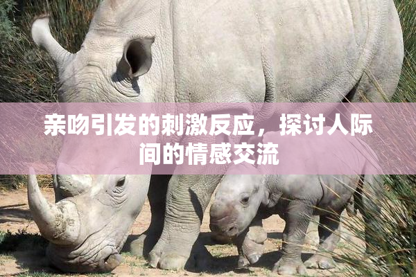亲吻引发的刺激反应，探讨人际间的情感交流