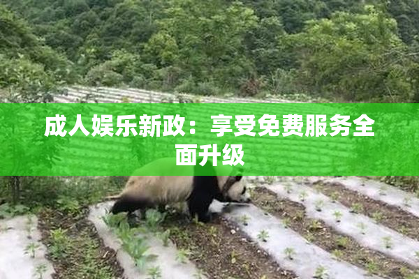 成人娱乐新政：享受免费服务全面升级