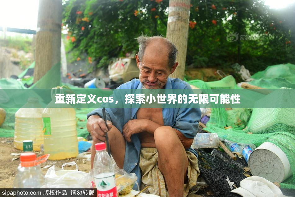 重新定义cos，探索小世界的无限可能性