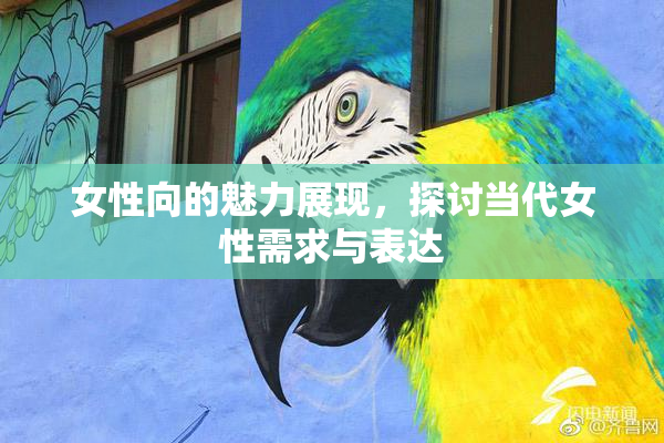 女性向的魅力展现，探讨当代女性需求与表达