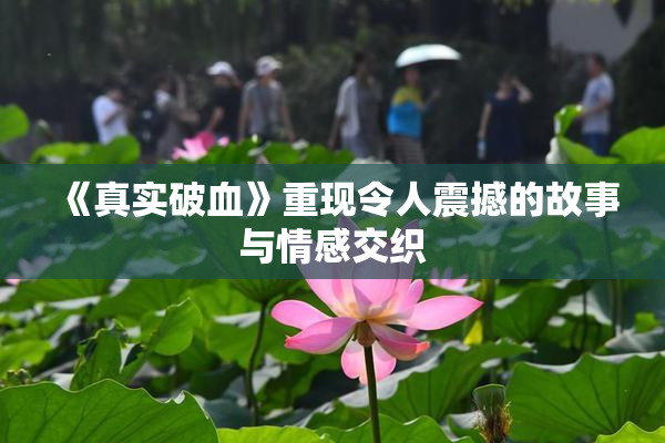 《真实破血》重现令人震撼的故事与情感交织