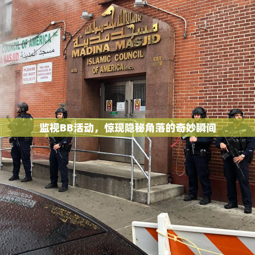 监视BB活动，惊现隐秘角落的奇妙瞬间