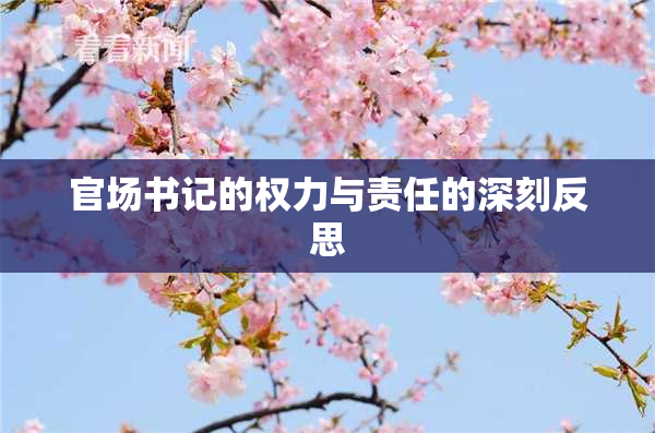 官场书记的权力与责任的深刻反思