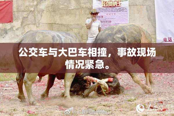 公交车与大巴车相撞，事故现场情况紧急。