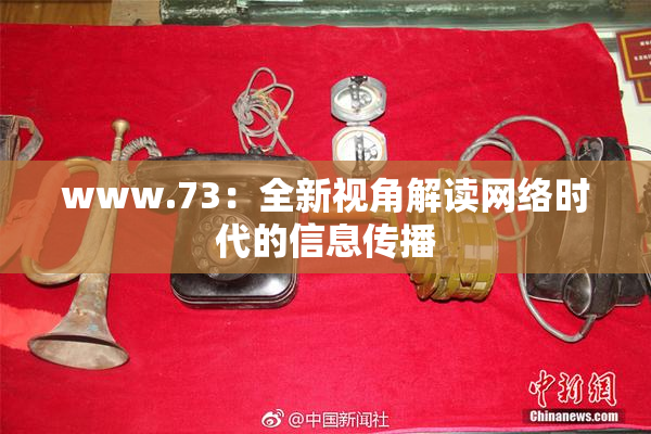 www.73：全新视角解读网络时代的信息传播
