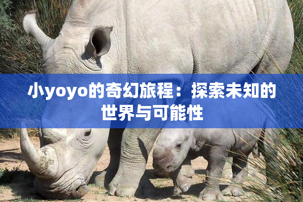 小yoyo的奇幻旅程：探索未知的世界与可能性