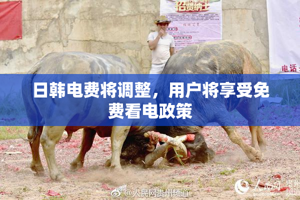 日韩电费将调整，用户将享受免费看电政策