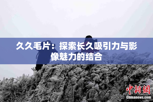 久久毛片：探索长久吸引力与影像魅力的结合