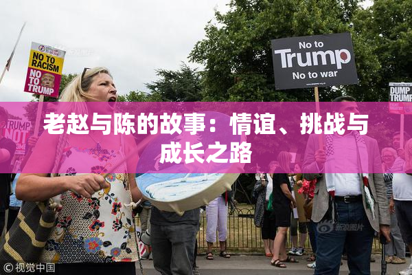 老赵与陈的故事：情谊、挑战与成长之路
