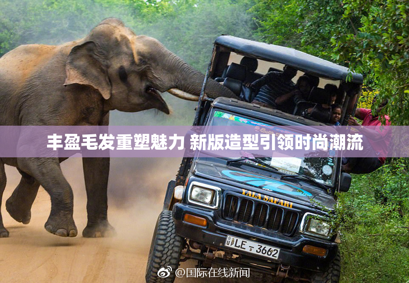 丰盈毛发重塑魅力 新版造型引领时尚潮流