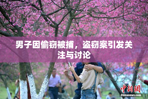 男子因偷窃被捕，盗窃案引发关注与讨论