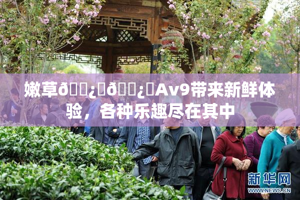 嫩草🌿‌🌿‌Av9带来新鲜体验，各种乐趣尽在其中