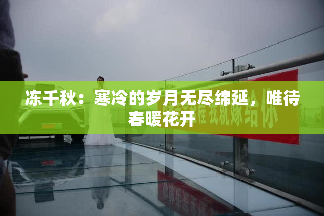 冻千秋：寒冷的岁月无尽绵延，唯待春暖花开