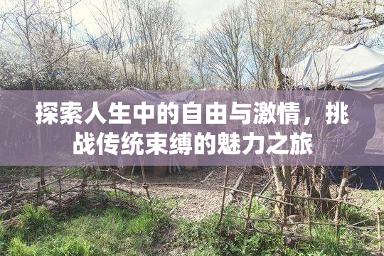探索人生中的自由与激情，挑战传统束缚的魅力之旅