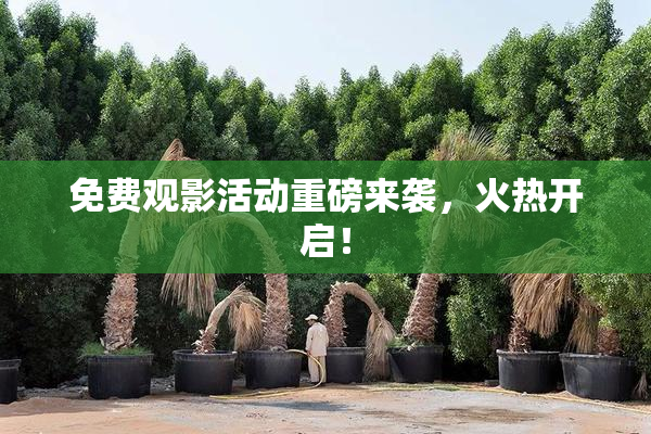 免费观影活动重磅来袭，火热开启！