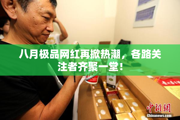 八月极品网红再掀热潮，各路关注者齐聚一堂！
