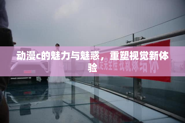 动漫c的魅力与魅惑，重塑视觉新体验