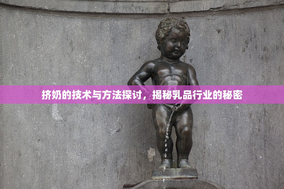 挤奶的技术与方法探讨，揭秘乳品行业的秘密