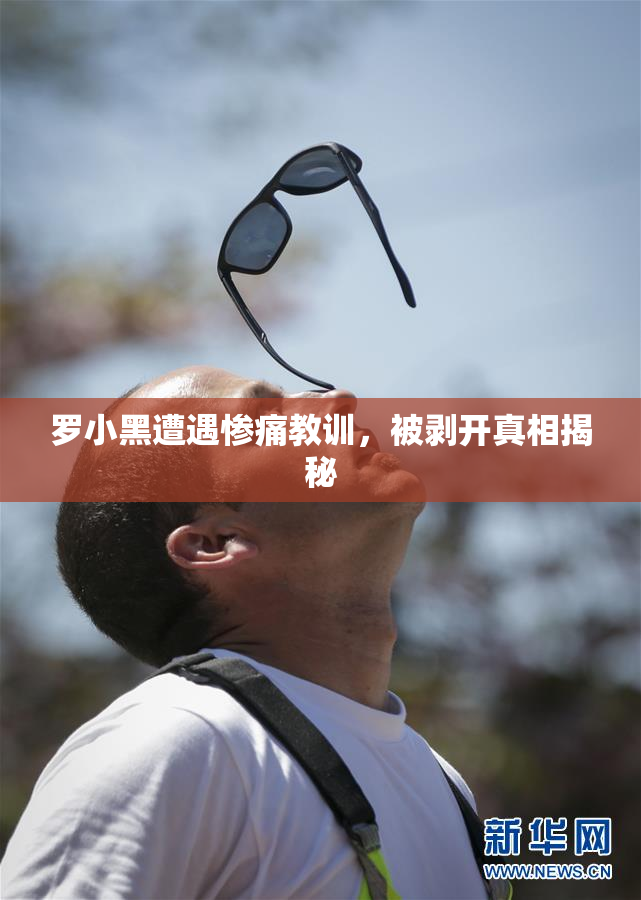 罗小黑遭遇惨痛教训，被剥开真相揭秘
