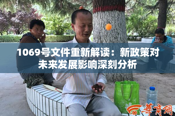 1069号文件重新解读：新政策对未来发展影响深刻分析