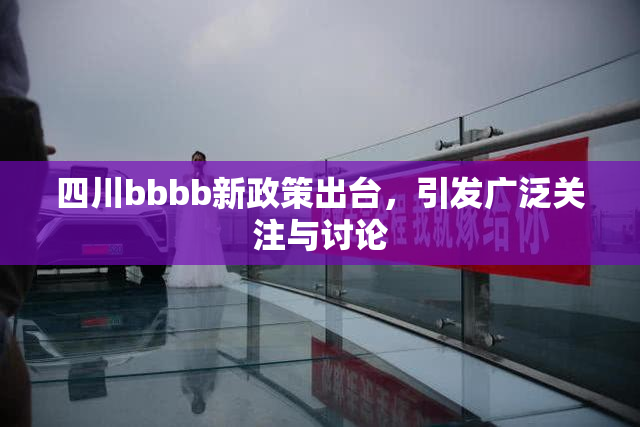 四川bbbb新政策出台，引发广泛关注与讨论