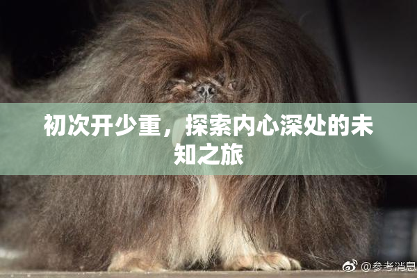 初次开少重，探索内心深处的未知之旅