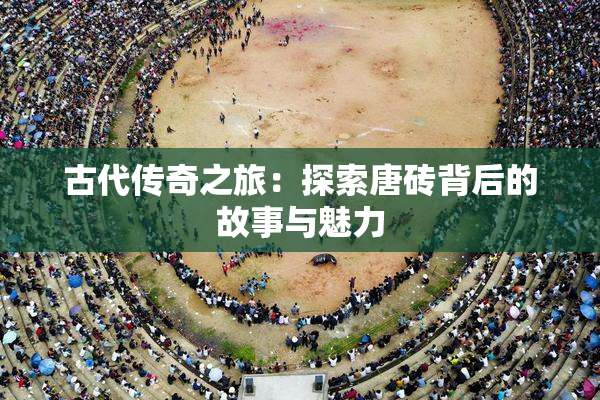 古代传奇之旅：探索唐砖背后的故事与魅力