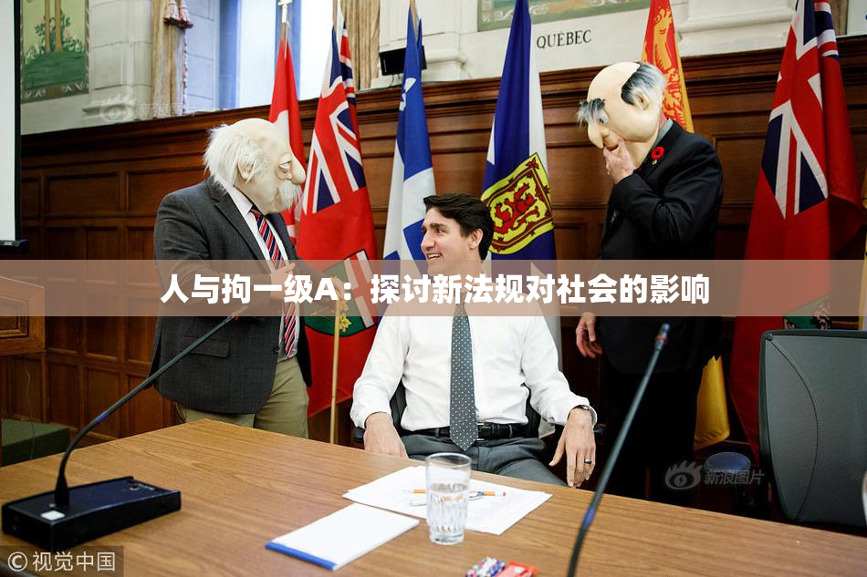人与拘一级A：探讨新法规对社会的影响