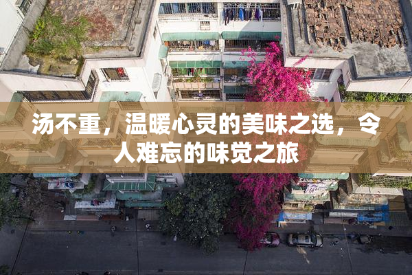 汤不重，温暖心灵的美味之选，令人难忘的味觉之旅