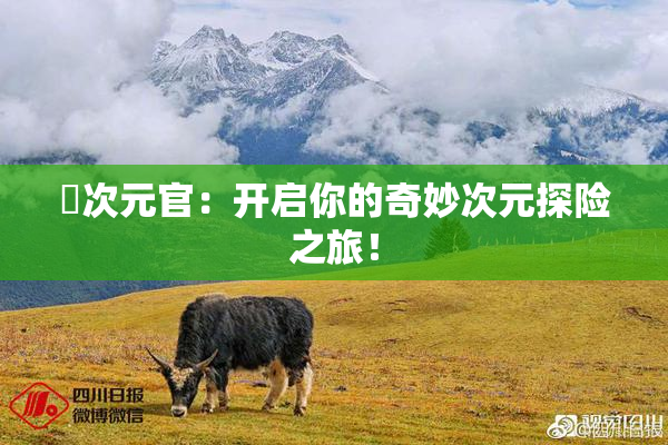 囧次元官：开启你的奇妙次元探险之旅！