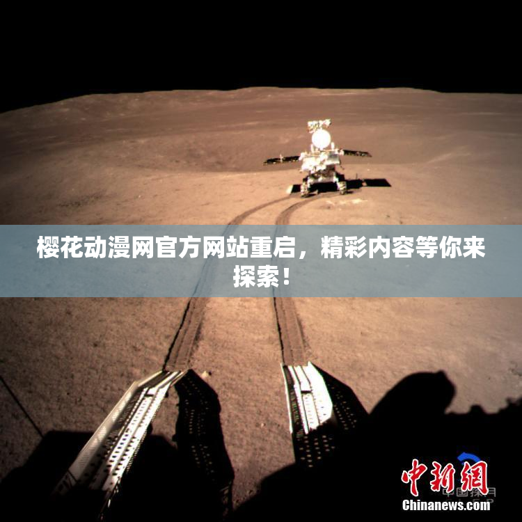 樱花动漫网官方网站重启，精彩内容等你来探索！
