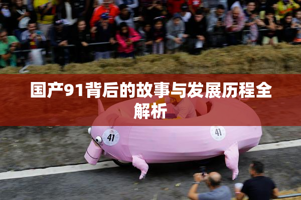 国产91背后的故事与发展历程全解析