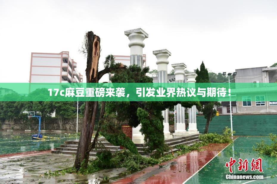 17c麻豆重磅来袭，引发业界热议与期待！