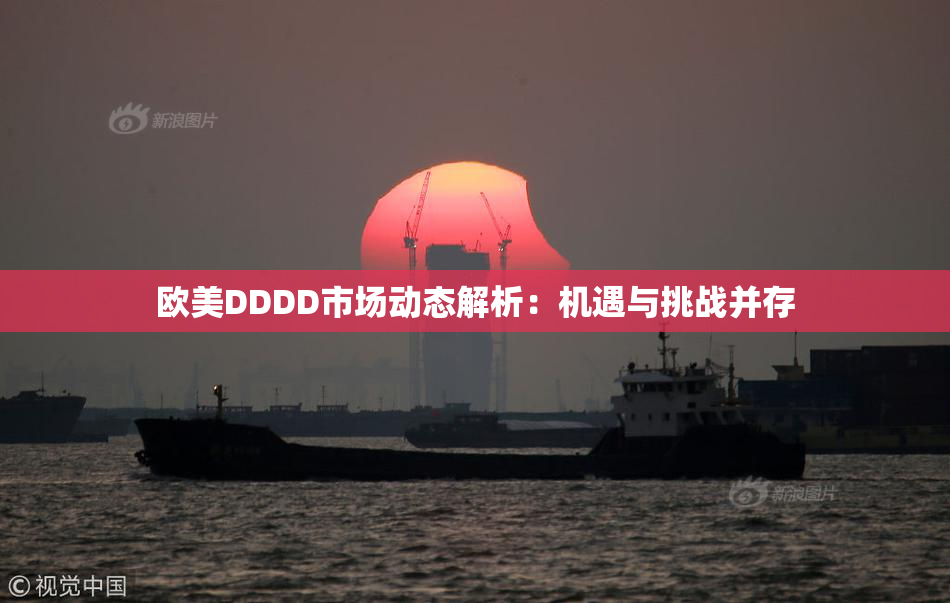 欧美DDDD市场动态解析：机遇与挑战并存